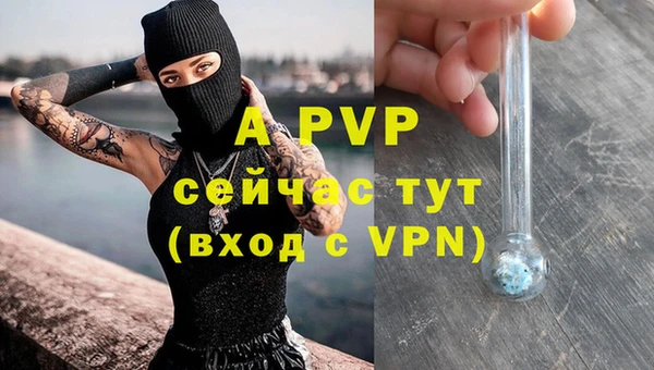 амф Белоозёрский