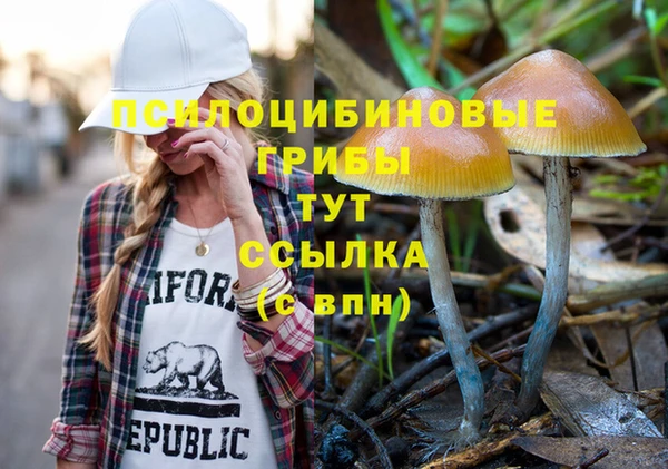 тгк Балахна